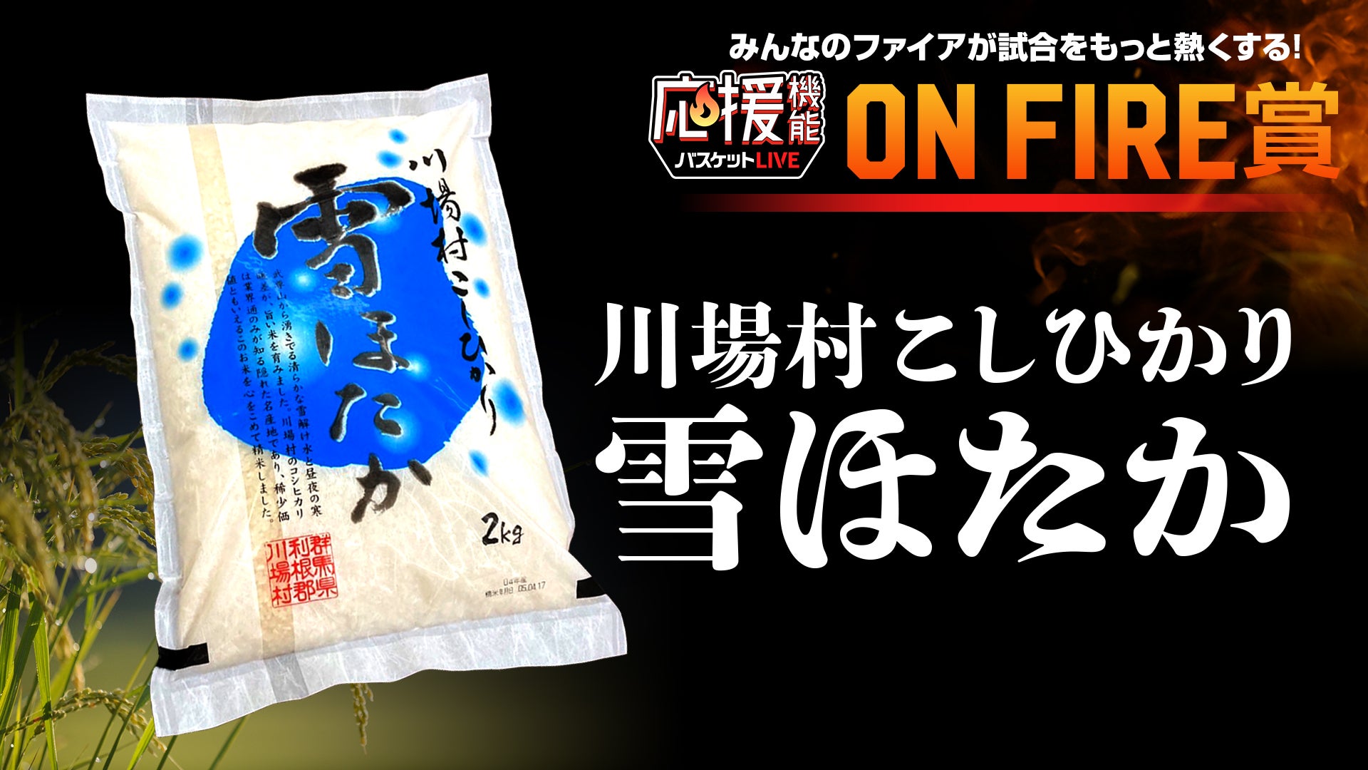試合情報】11月4日(土),5(日) 名古屋ダイヤモンドドルフィンズ戦